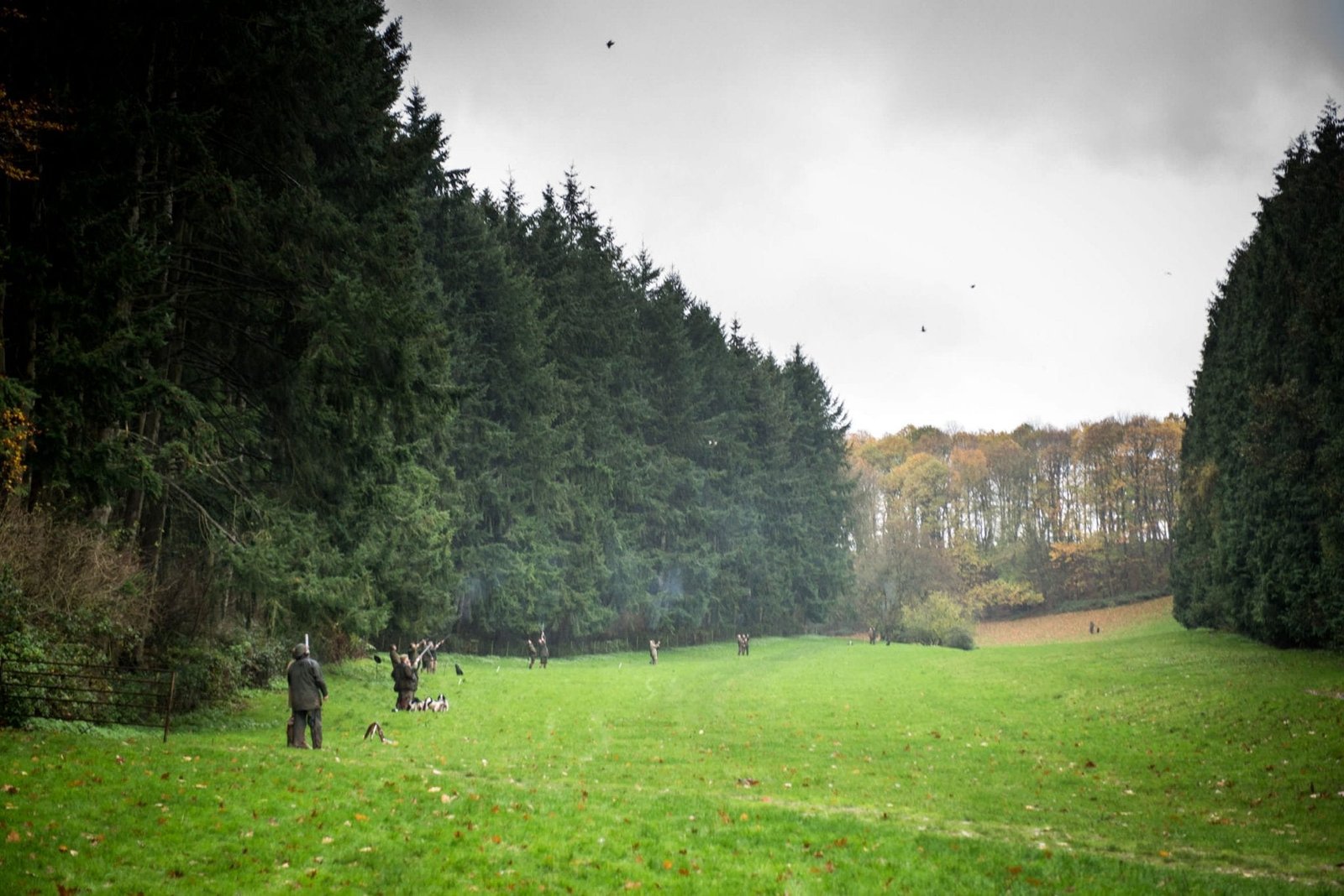 Sporting Agency Availability - A field of shooters and a sky full of game at Lady's Wood Shooting School