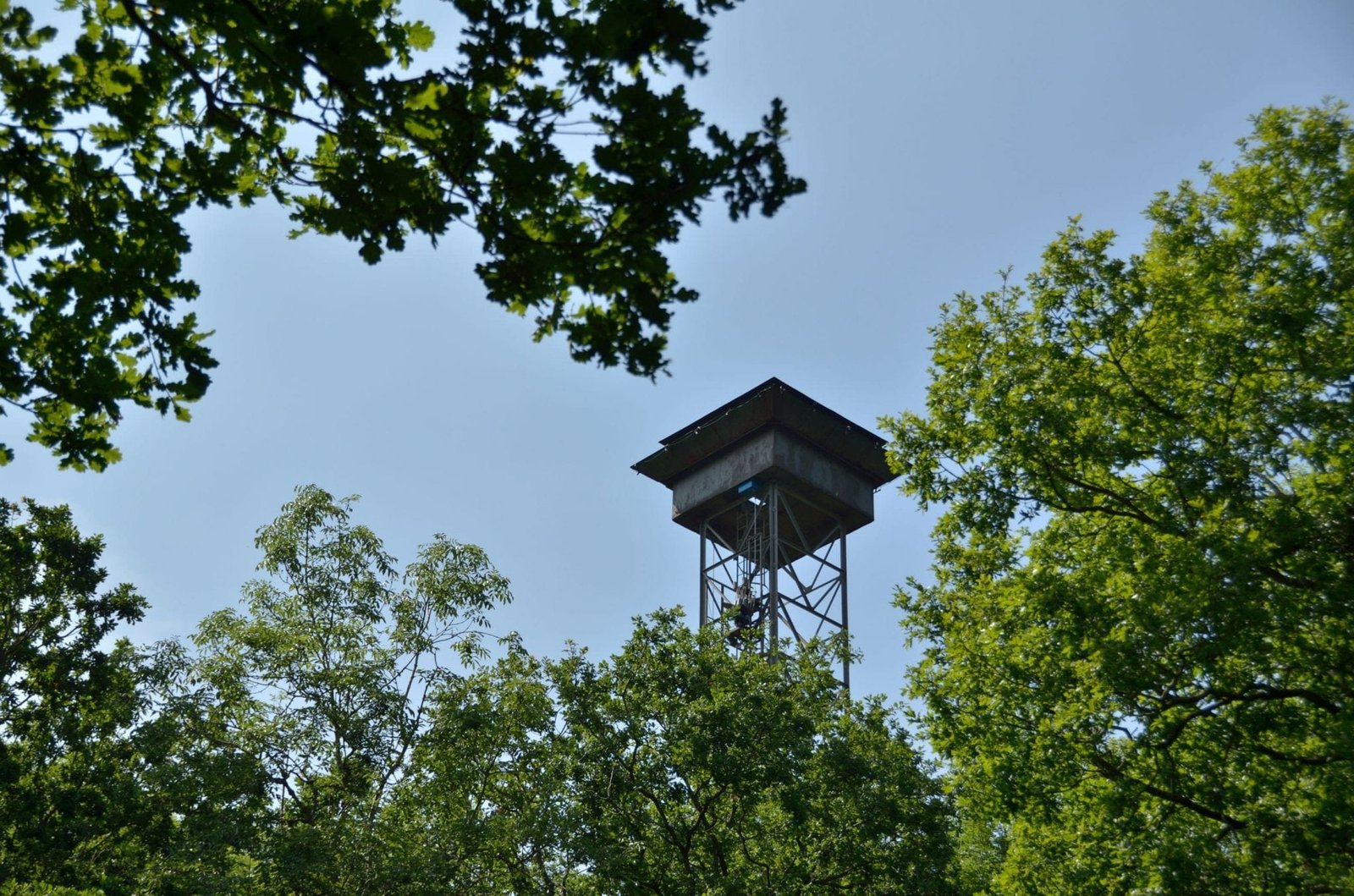 Clay Shooting Tariff - The shooting tower at Lady's Wood Shooting School