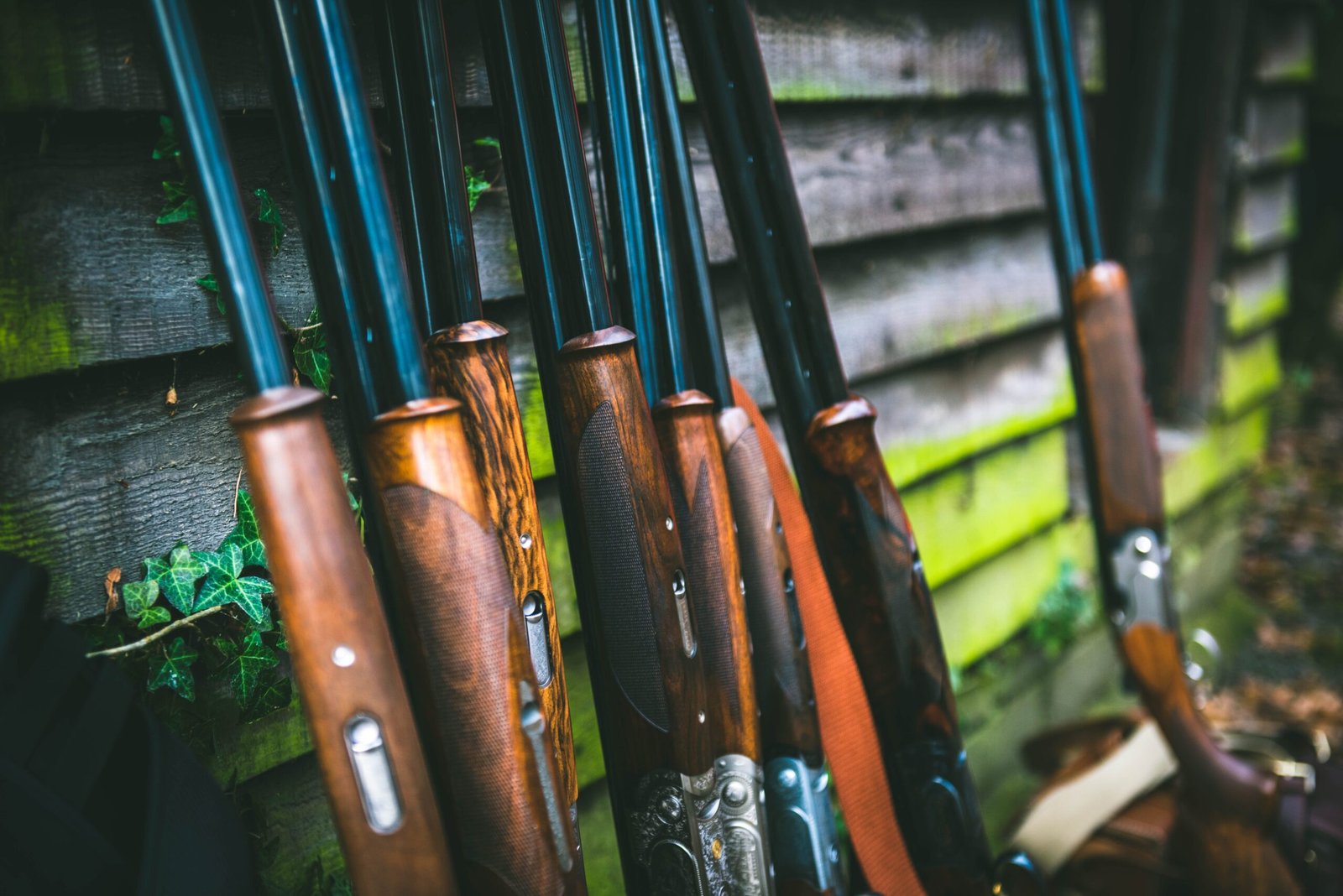 A shotgun licence is a legal requirement in the UK if you wish to possess and shotgun