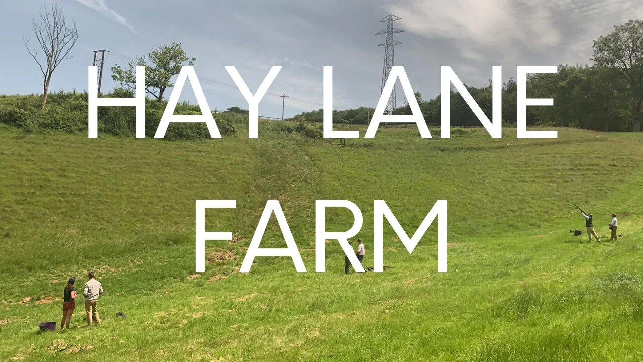 Simulated game shooting at Hay Lane Farm with Lady's Wood Sporting Agency