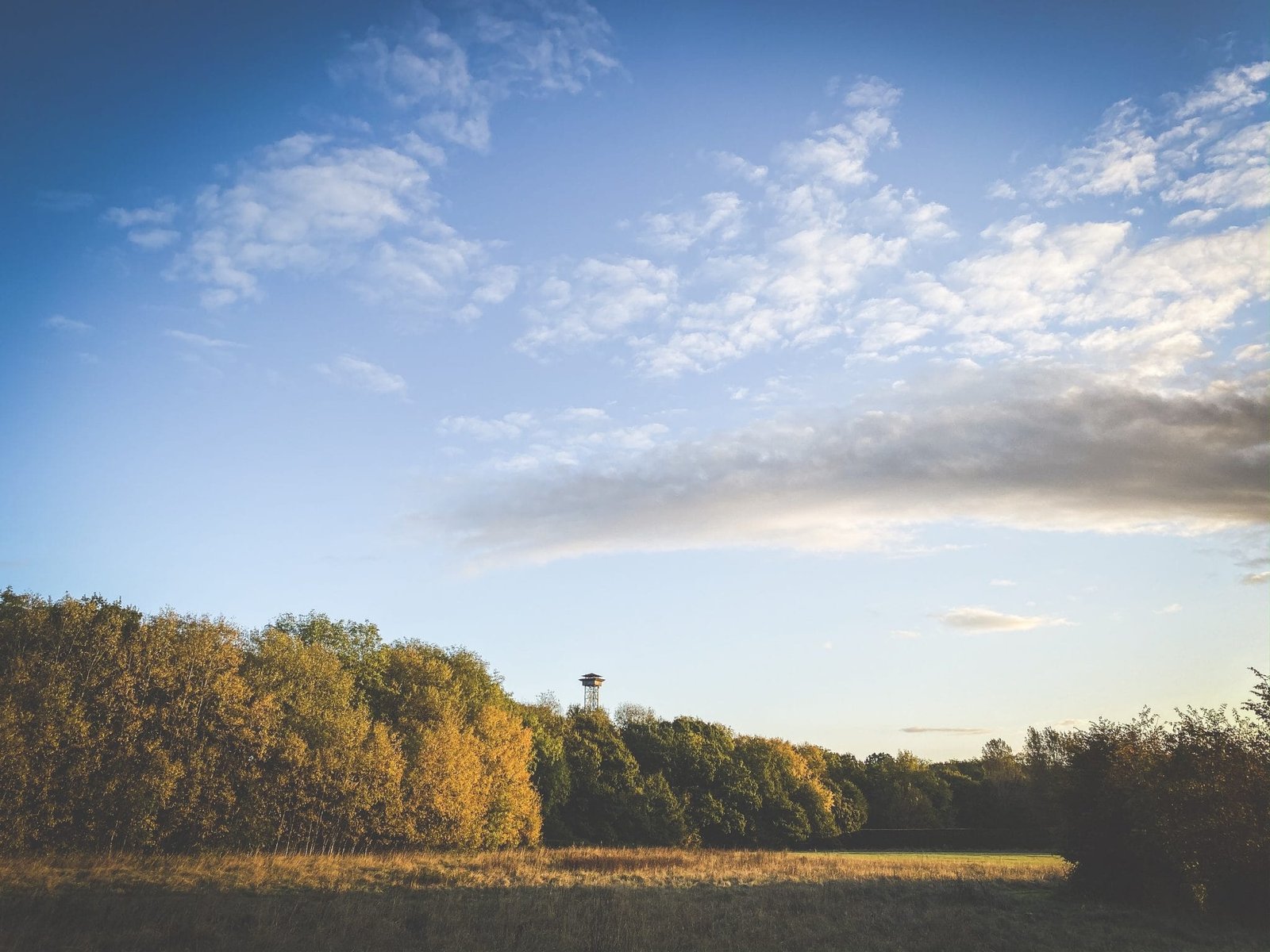 Lady's Wood Shooting School - the UK's premier shooting ground