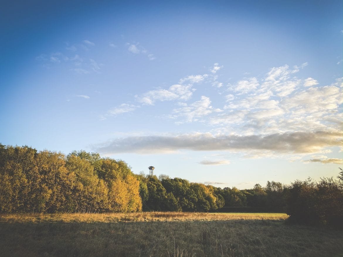 Have your say and win a lesson at Lady's Wood Shooting School