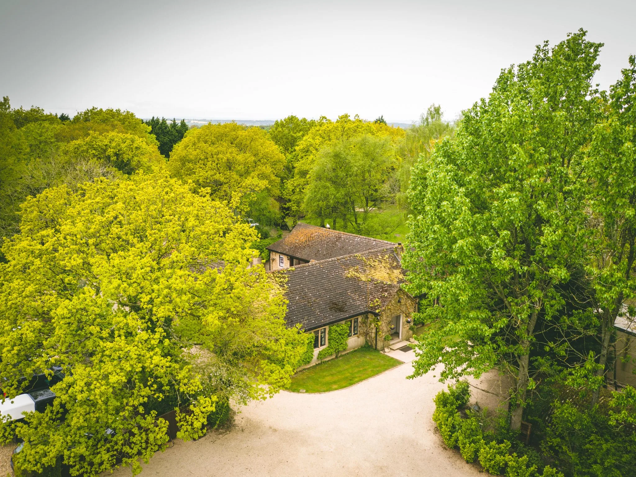 Lady's Wood Shooting School