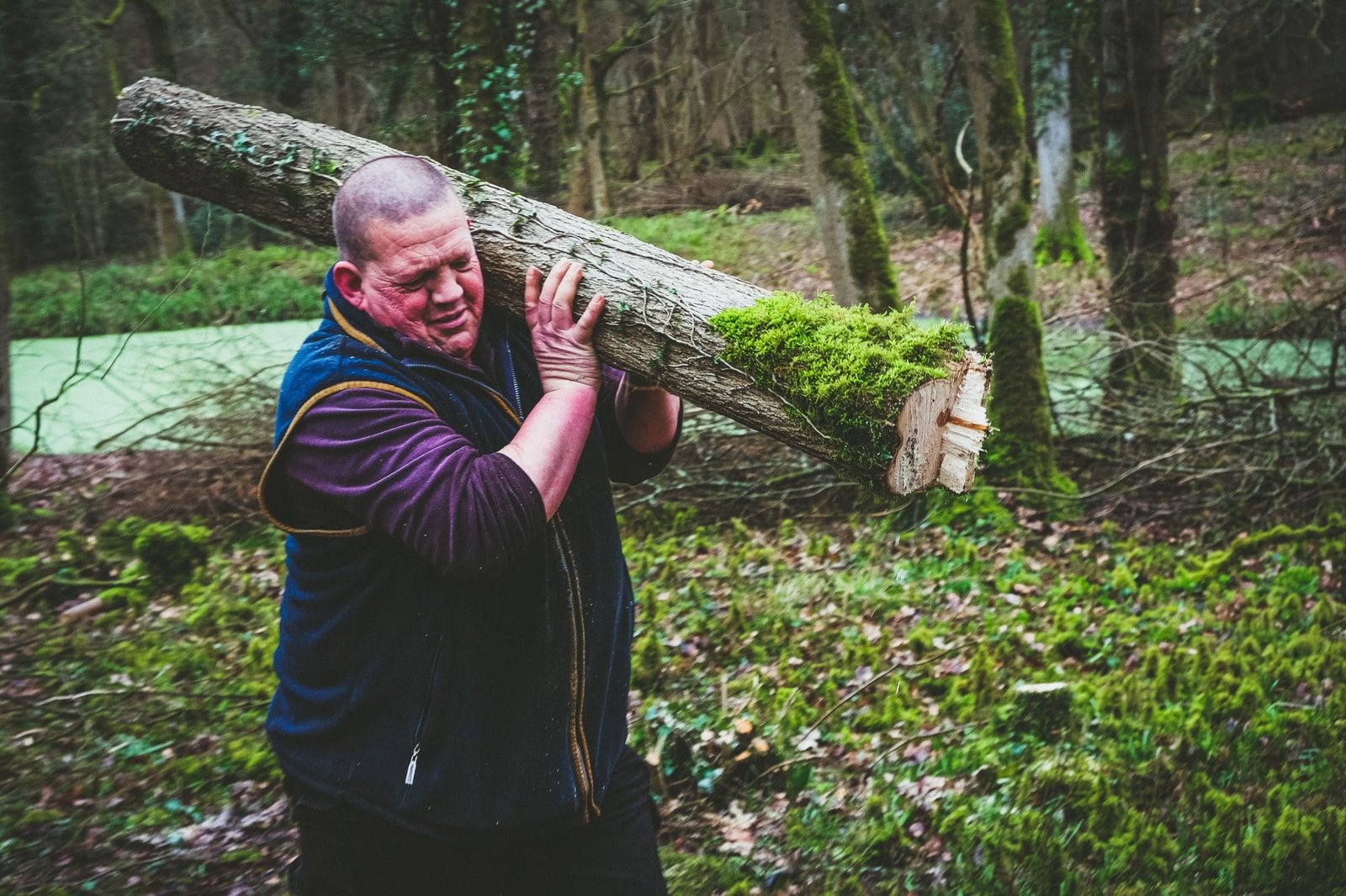 the coppice woodland