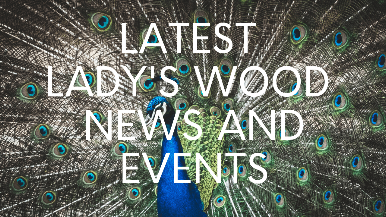 Latest Lady's Wood News and Events