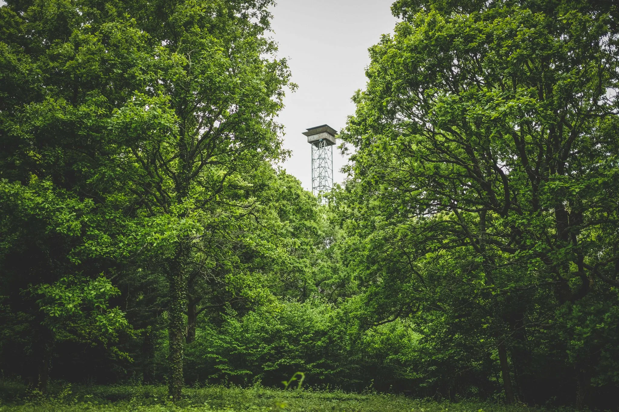 High tower at Lady's Wood Shooting School