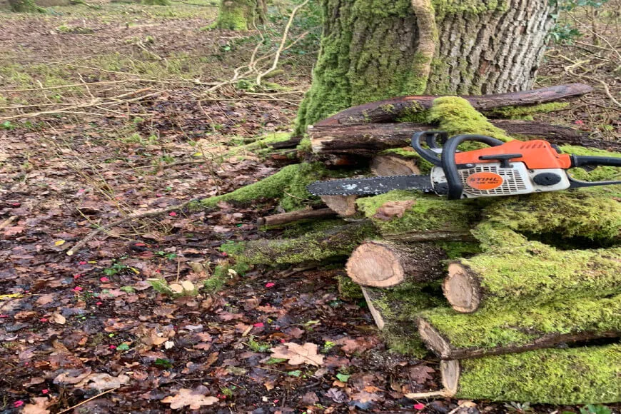 Woodland Management Update November 2020 Ash Dieback