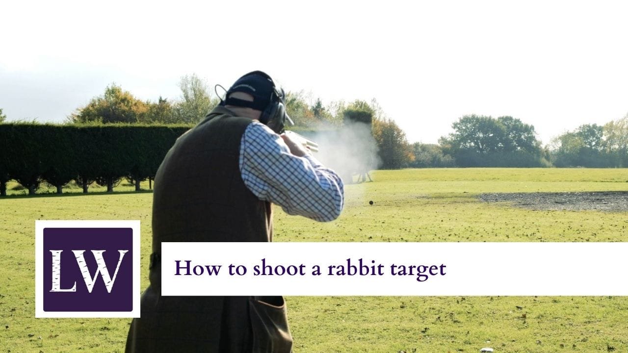 How to shoot a rabbit target video thumbnail