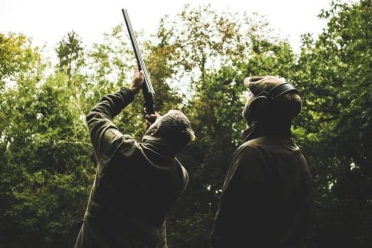 Latest video How to shoot a looper target Lady's Wood Shooting School