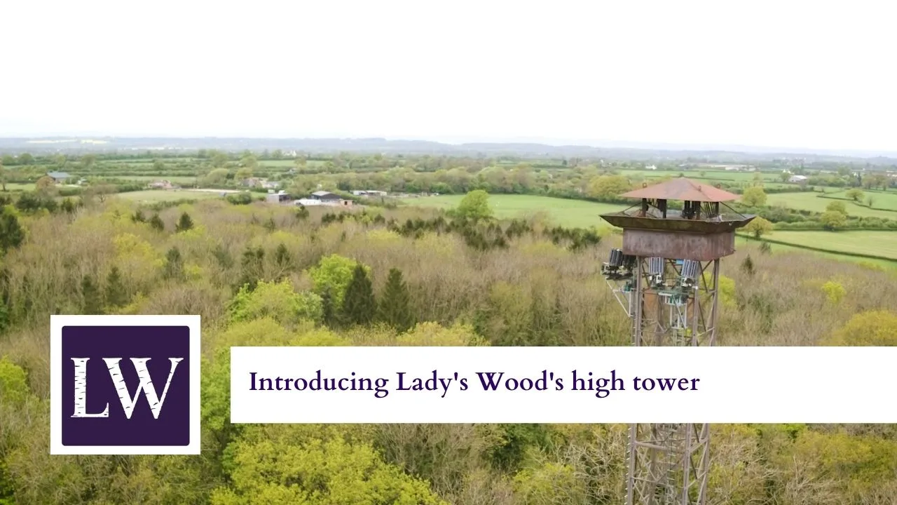 Latest video: Introducing Lady's Wood high tower