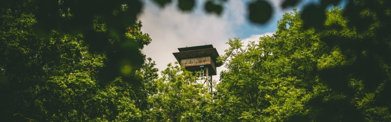 Game Shooting Lessons At Lady's Wood