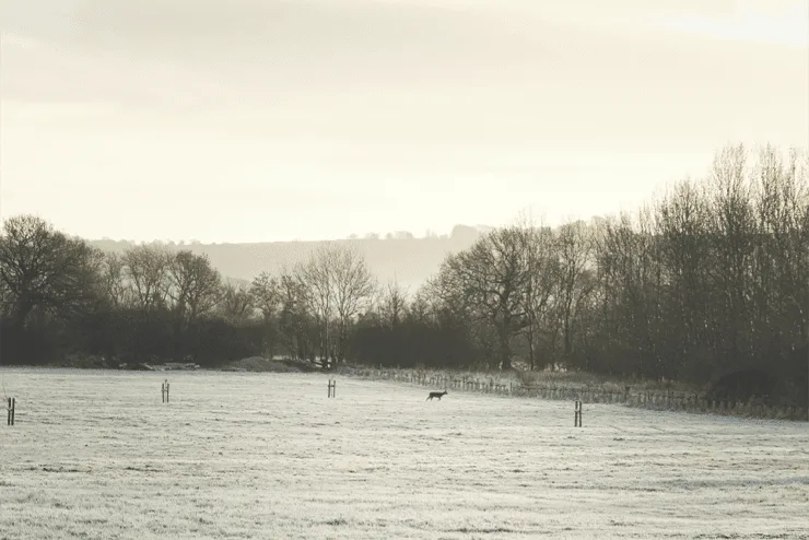 Christmas Shooting Experience Christmas Shooting Experience