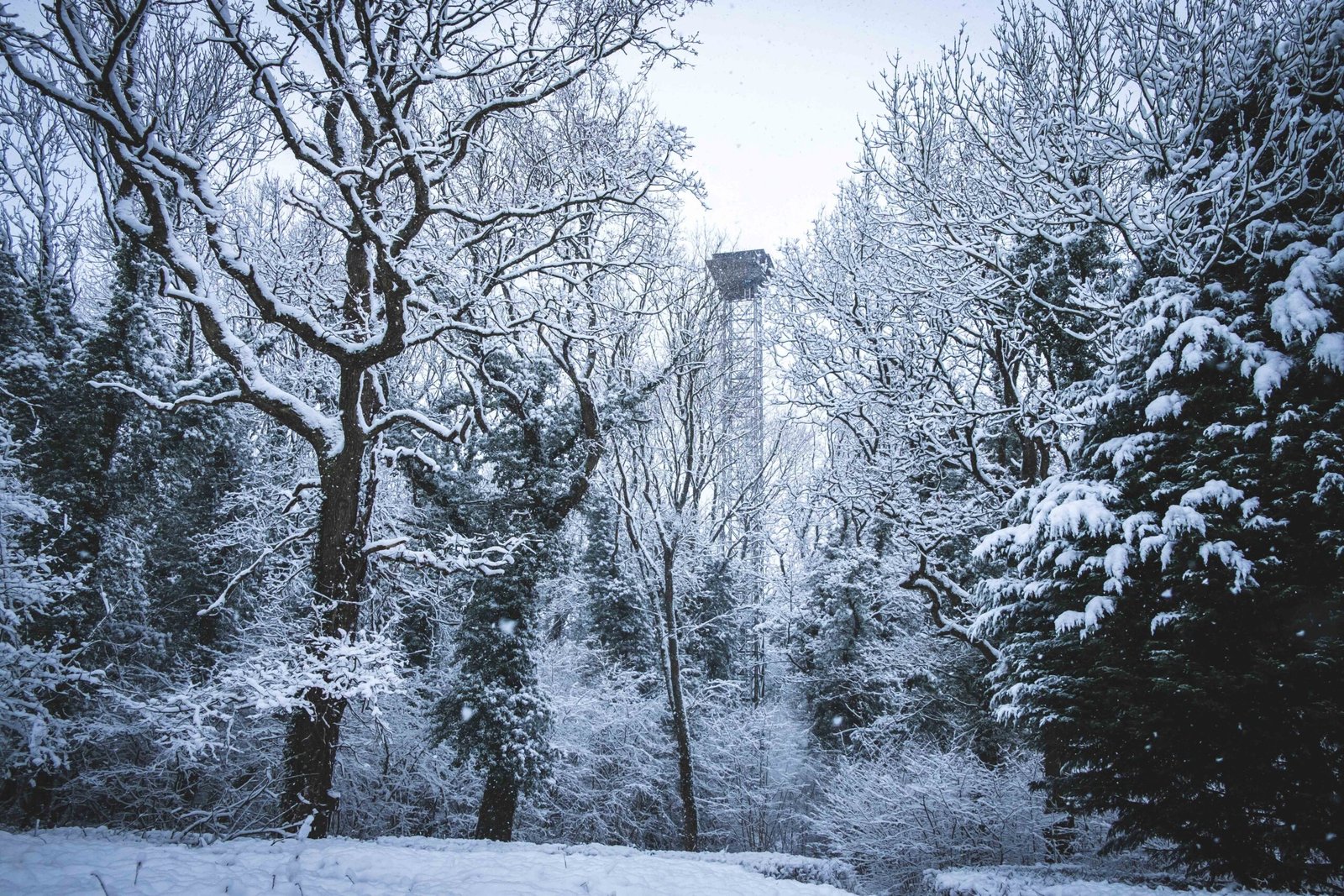 high-tower-ladys-wood-snow4